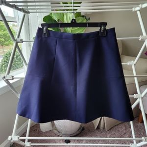 J.Crew Navy skirt